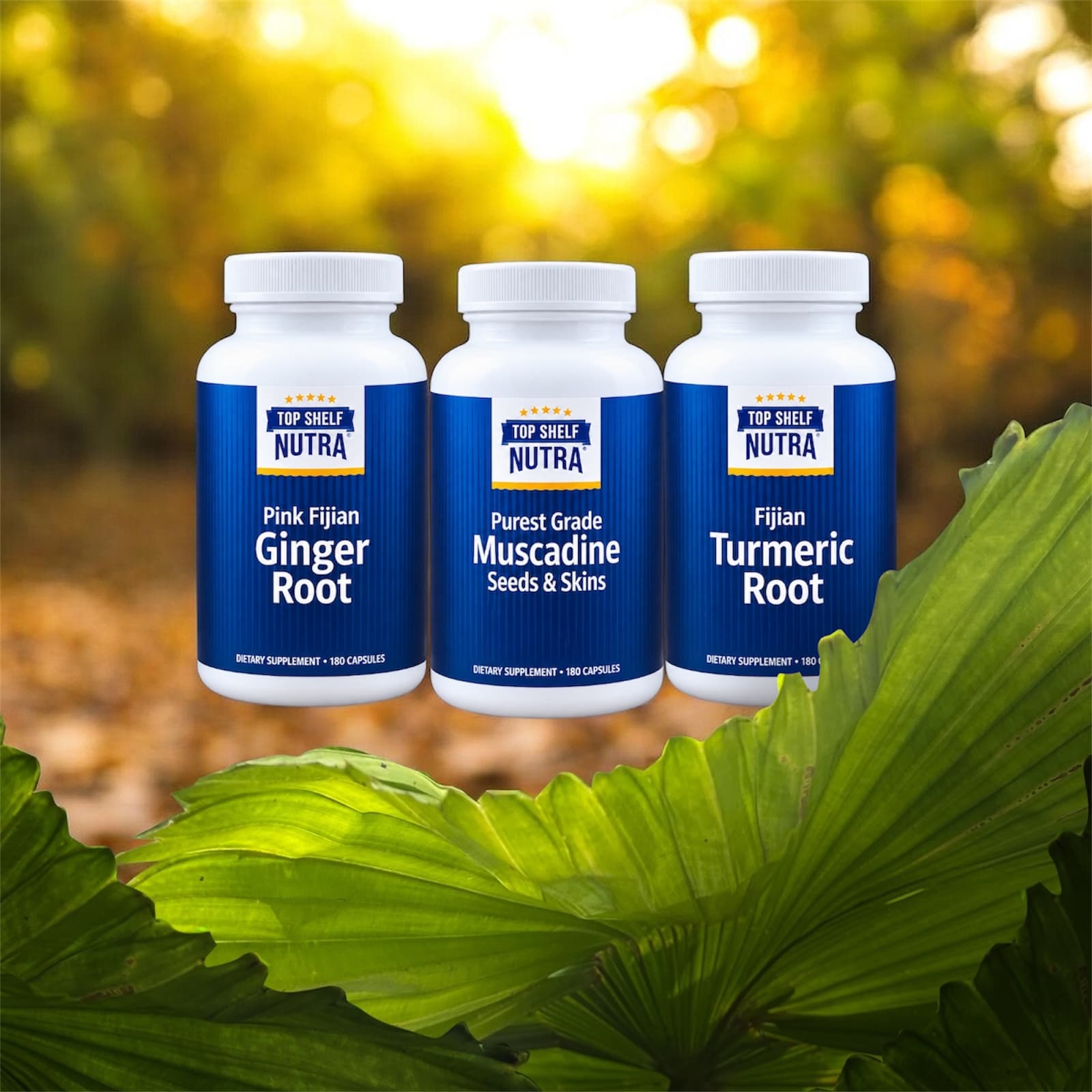 TopShelfNutra products displayed with ginger, turmeric, and muscadine grapes.
